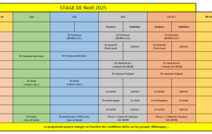 Programme Stage Noël 2025